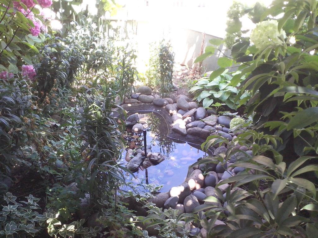 Guest House Krasi Черноморец Экстерьер фото