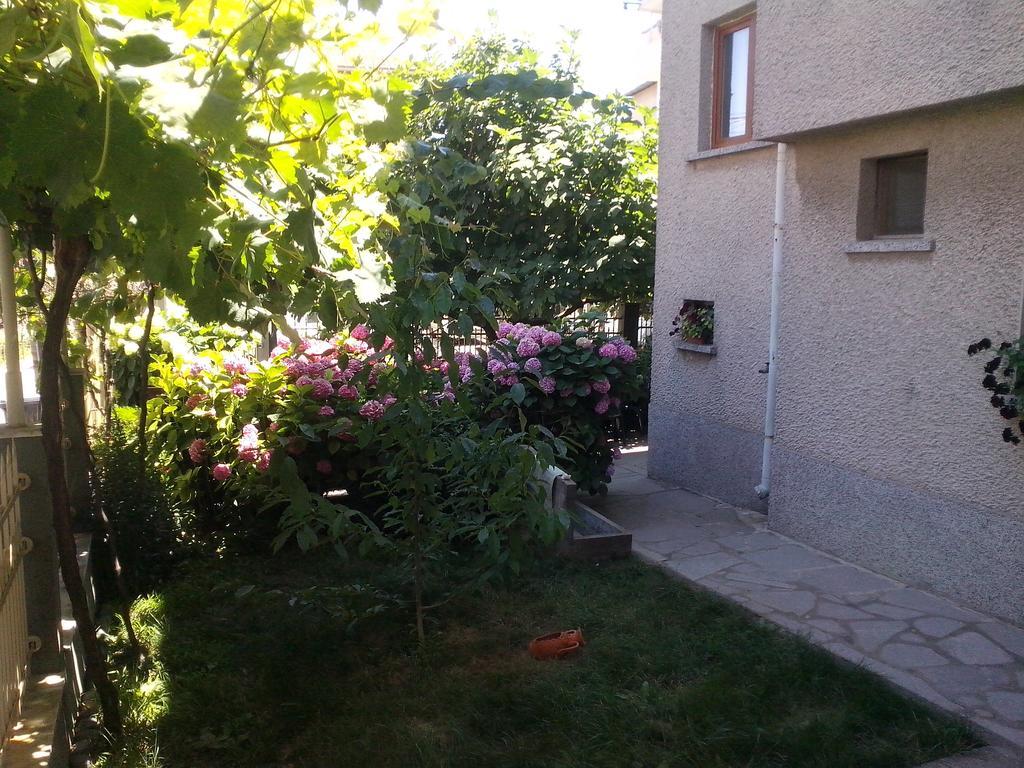 Guest House Krasi Черноморец Экстерьер фото